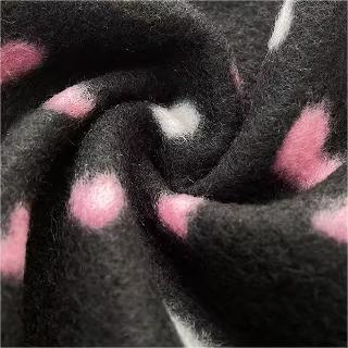Double Side Poalr Fabric